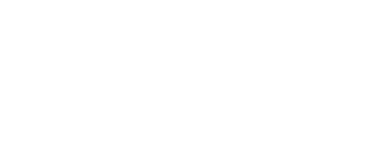The Church of Nature logo